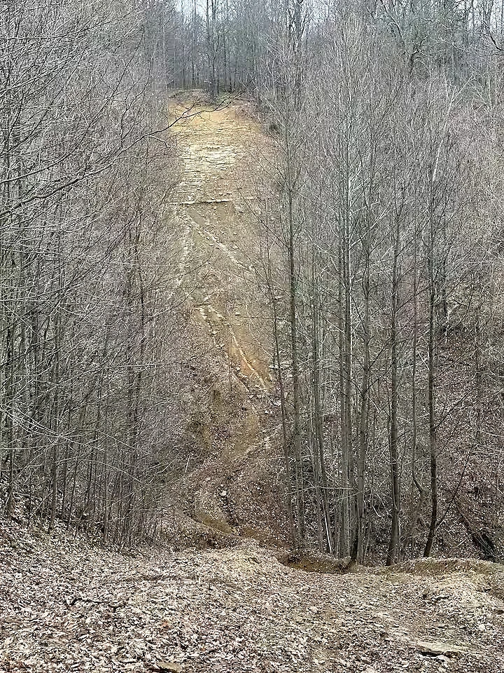 Wooded riding trail on the 174-acre Moto Supreme property