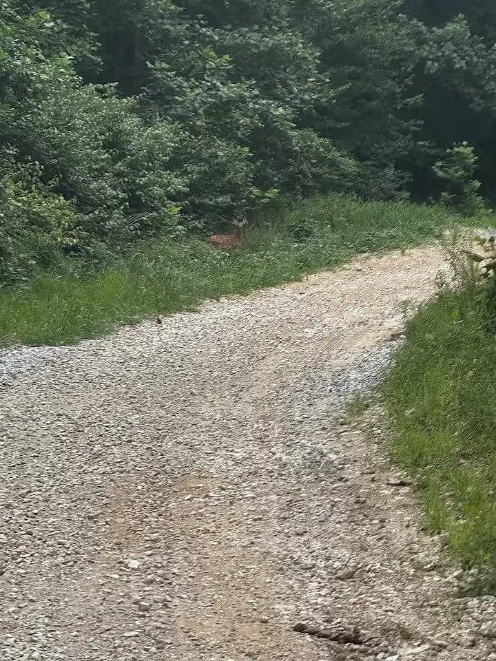 Dirt trail through southern Indiana hill country at Moto Supreme
