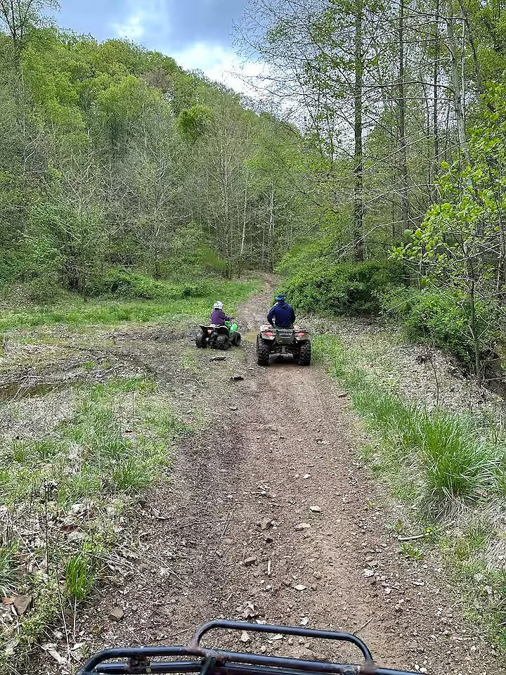 Trail cut through the trees on private land in Norman, Indiana